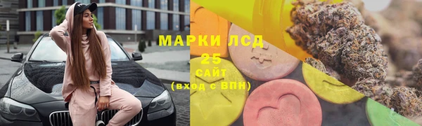 индика Бородино