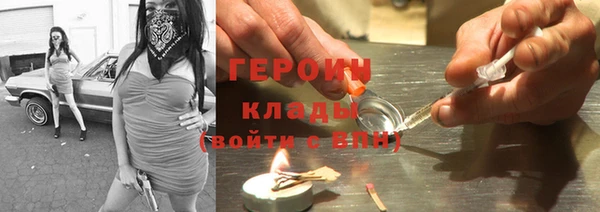 индика Бородино