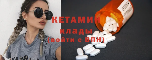 индика Бородино