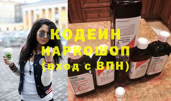 индика Бородино