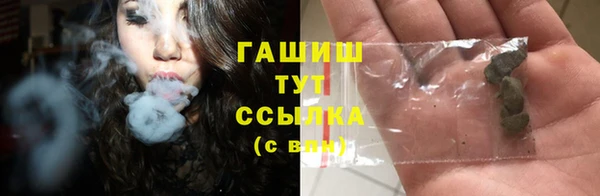 индика Бородино