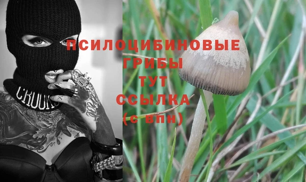первитин Верея