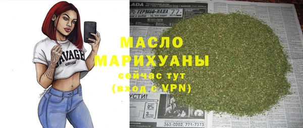 индика Бородино