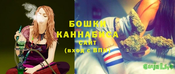 индика Бородино