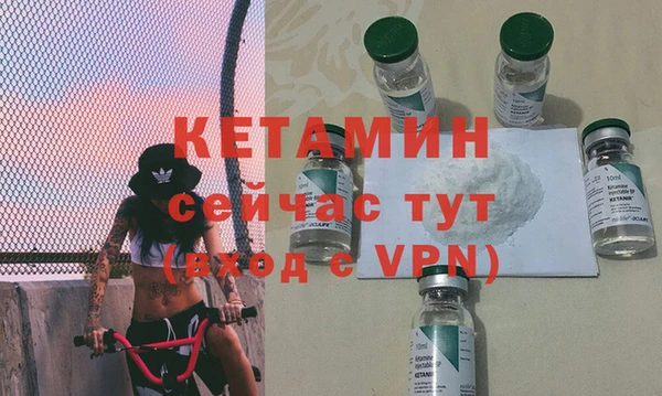 индика Бородино