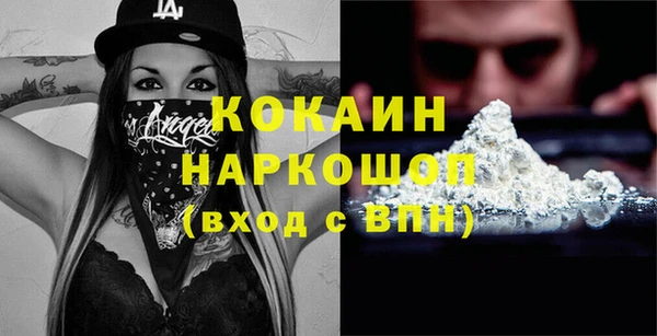 индика Бородино