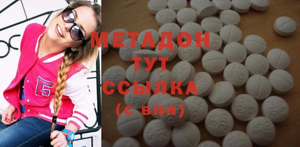 индика Бородино