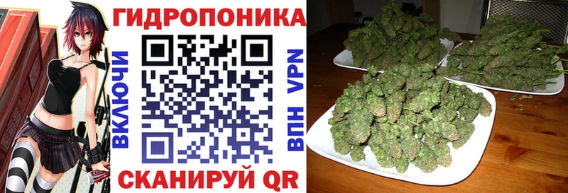 Бошки Шишки Amnesia Копейск